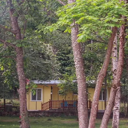 Bungalows In Village Πανσιόν Kamena