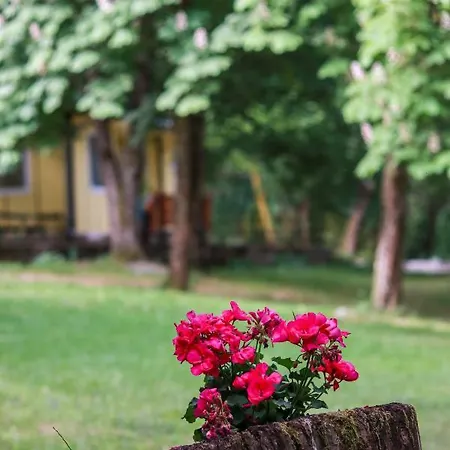 Bungalows In Village 3*