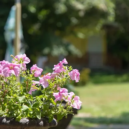 Πανσιόν Bungalows In Village