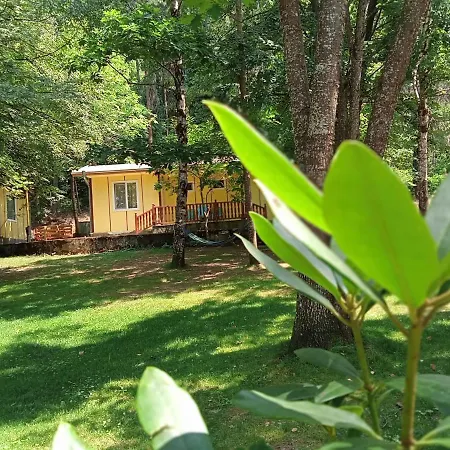 Bungalows In Village 3*
