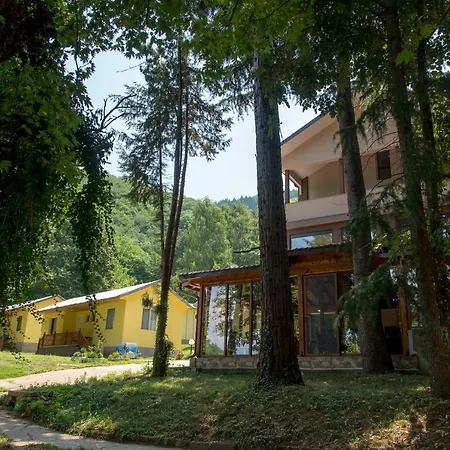Bungalows In Village